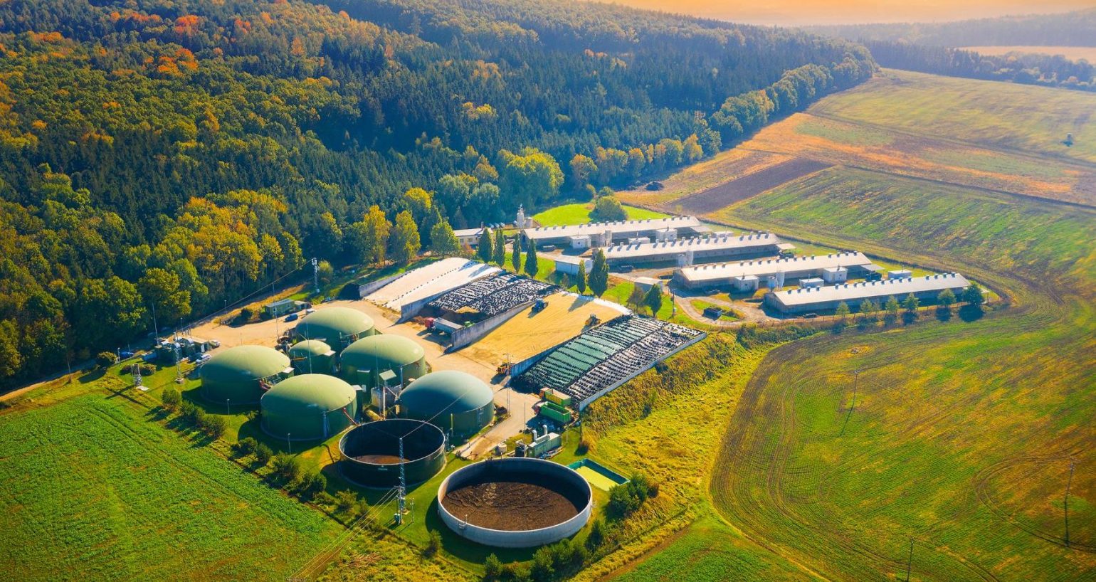 Biogas plant and farm in blooming rapeseed fields.